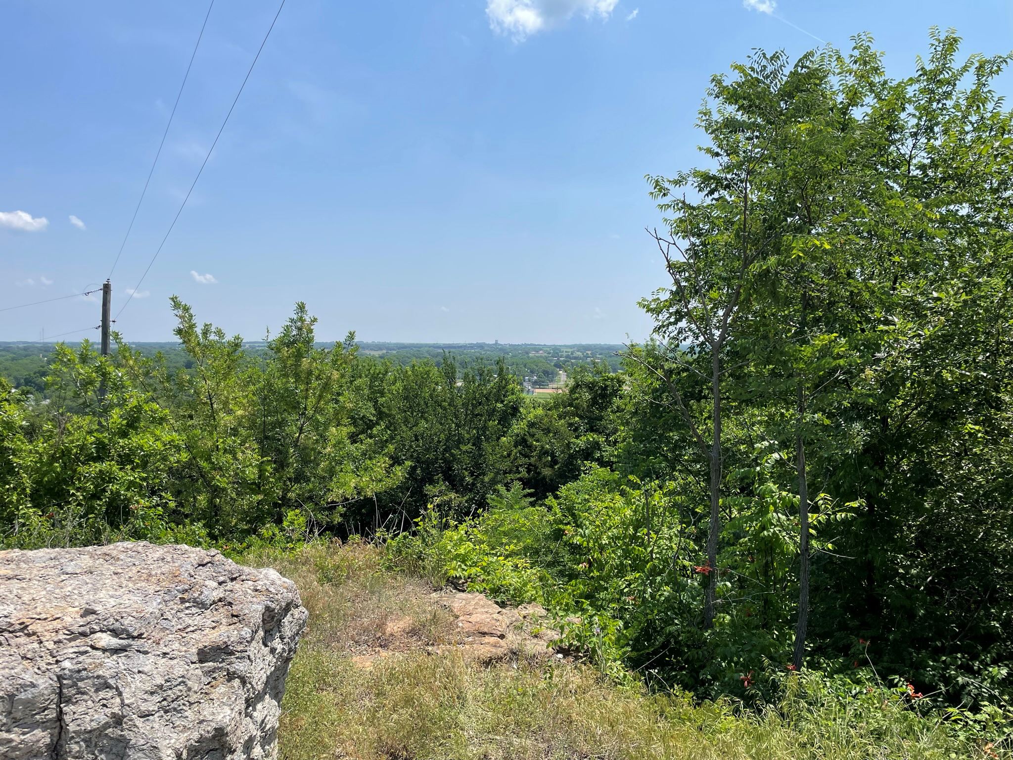 View of Wilson County from the Mound